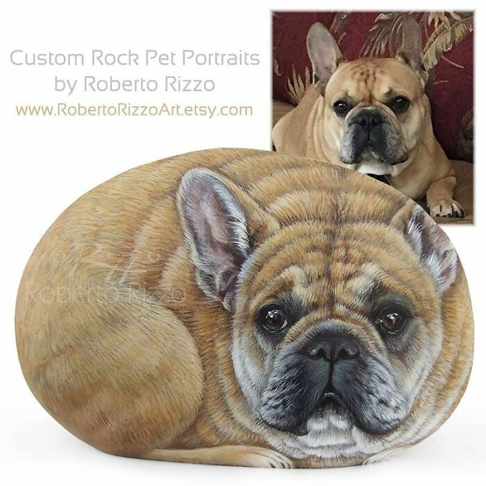 Hand-Painted-Rocks-Stone-Art-Animals-Robertorizzoart