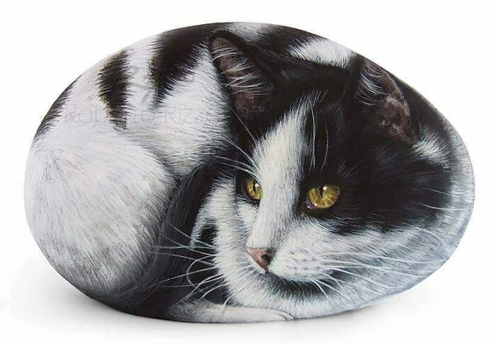 Hand-Painted-Rocks-Stone-Art-Animals-Robertorizzoart