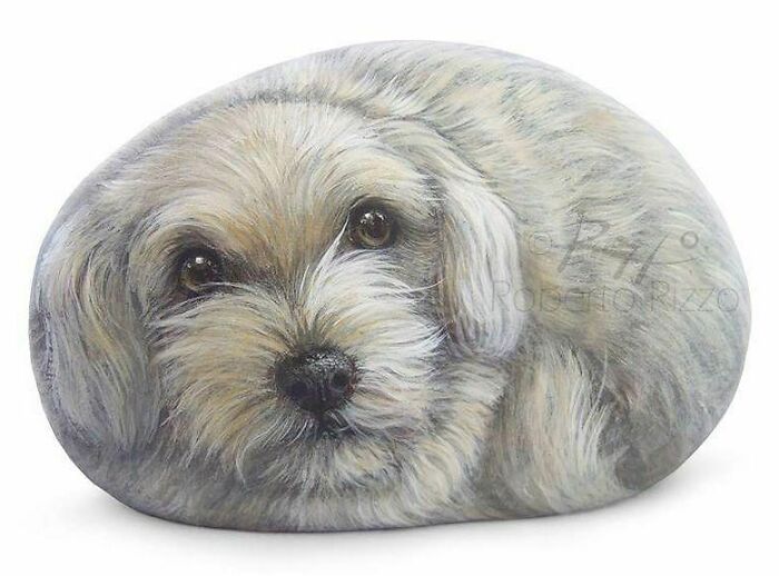 Hand-Painted-Rocks-Stone-Art-Animals-Robertorizzoart