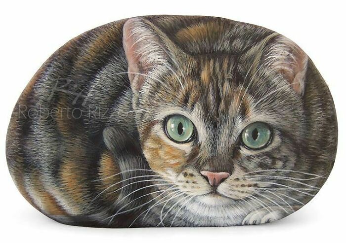 Hand-Painted-Rocks-Stone-Art-Animals-Robertorizzoart
