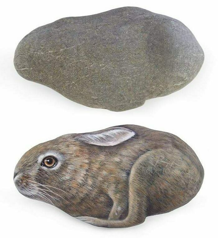 Hand-Painted-Rocks-Stone-Art-Animals-Robertorizzoart