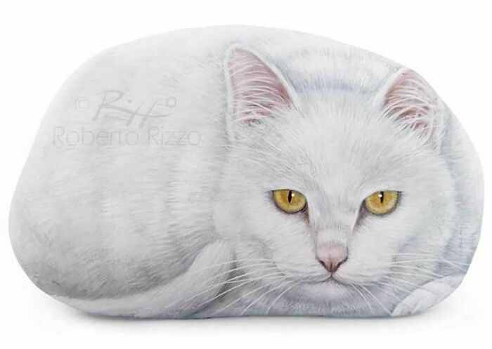 Hand-Painted-Rocks-Stone-Art-Animals-Robertorizzoart