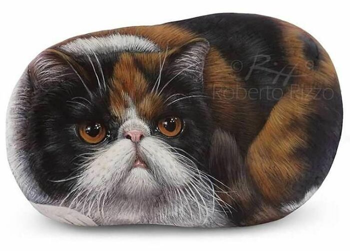 Hand-Painted-Rocks-Stone-Art-Animals-Robertorizzoart