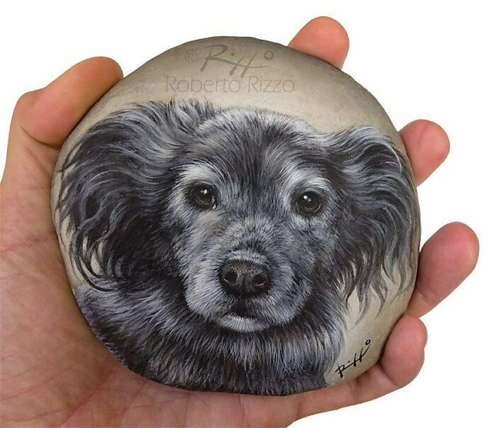Hand-Painted-Rocks-Stone-Art-Animals-Robertorizzoart