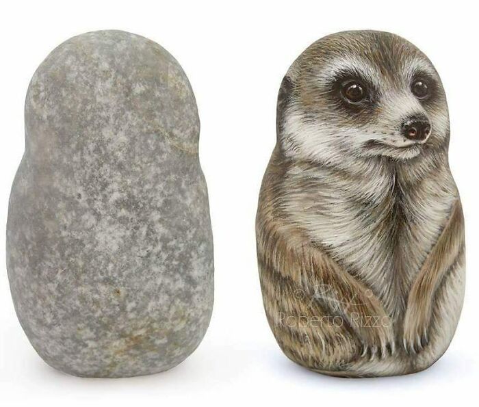 Hand-Painted-Rocks-Stone-Art-Animals-Robertorizzoart