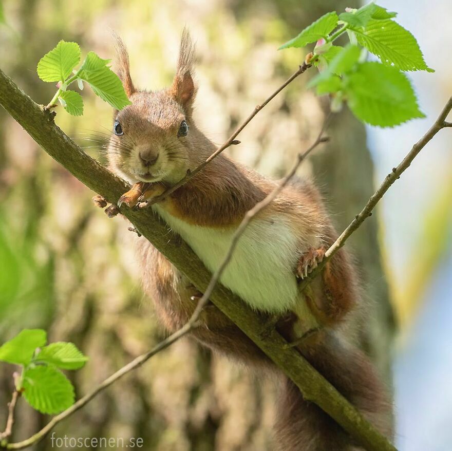 I’ve Got Friends In High Places