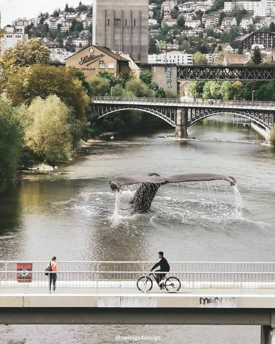 Whale Watching In Zurich, Switzerland
.
.
op @swissgo4design @pixabay
.
.
#dailyart #9gag #beyondsurreal #trippyart #theuniversalart #thephotoviers #thecreativers #thecreart #thecreatart #xceptionaledits #launchdsigns #whalewatching #visitzurich #myswitzerland #beforv #creatingfromhome #creativecloud_balance #creartmood #digitallyart #discoveredit #enterimagination #learnphotoshop #fxcreatives #milliondollarvisuals #manipulationteam #artbasel #ps_float #creativecloud_immersed #launchdsigns_shark