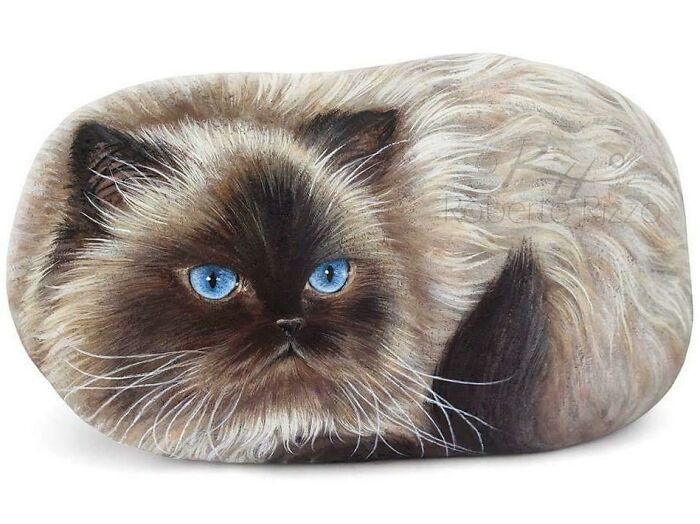 Hand-Painted-Rocks-Stone-Art-Animals-Robertorizzoart