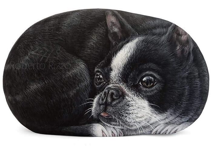 Hand-Painted-Rocks-Stone-Art-Animals-Robertorizzoart