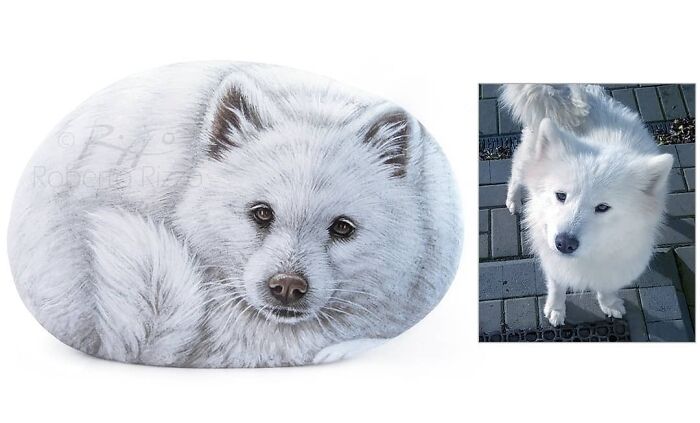 Hand-Painted-Rocks-Stone-Art-Animals-Robertorizzoart