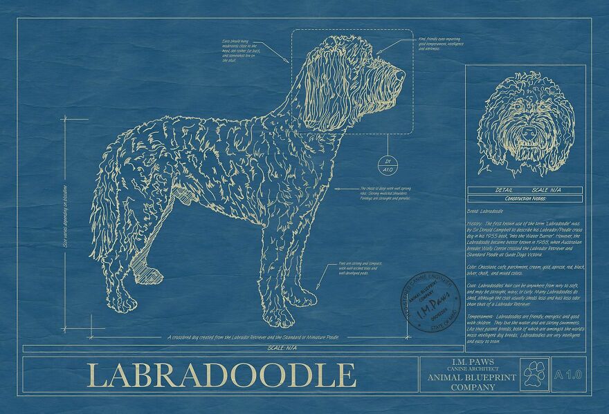 Labradoodle Bluprint Art