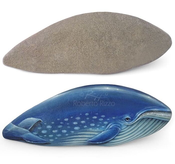 Hand-Painted-Rocks-Stone-Art-Animals-Robertorizzoart