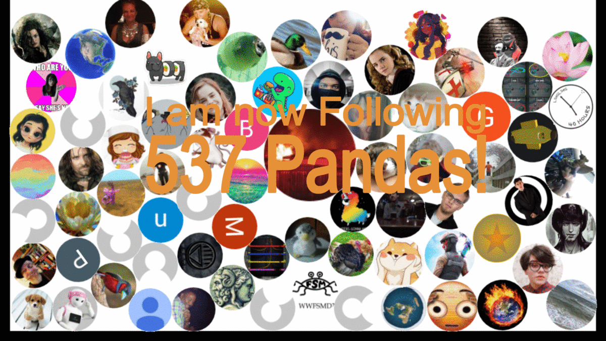 Bored-Panda-Followers-GIF-601ae44a61600.gif