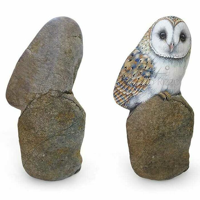 Hand-Painted-Rocks-Stone-Art-Animals-Robertorizzoart