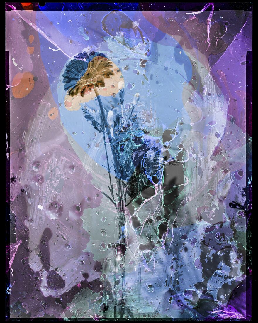 Hidden In Plain Sight ( 3rd Place / Analog / Film / Fine Art)