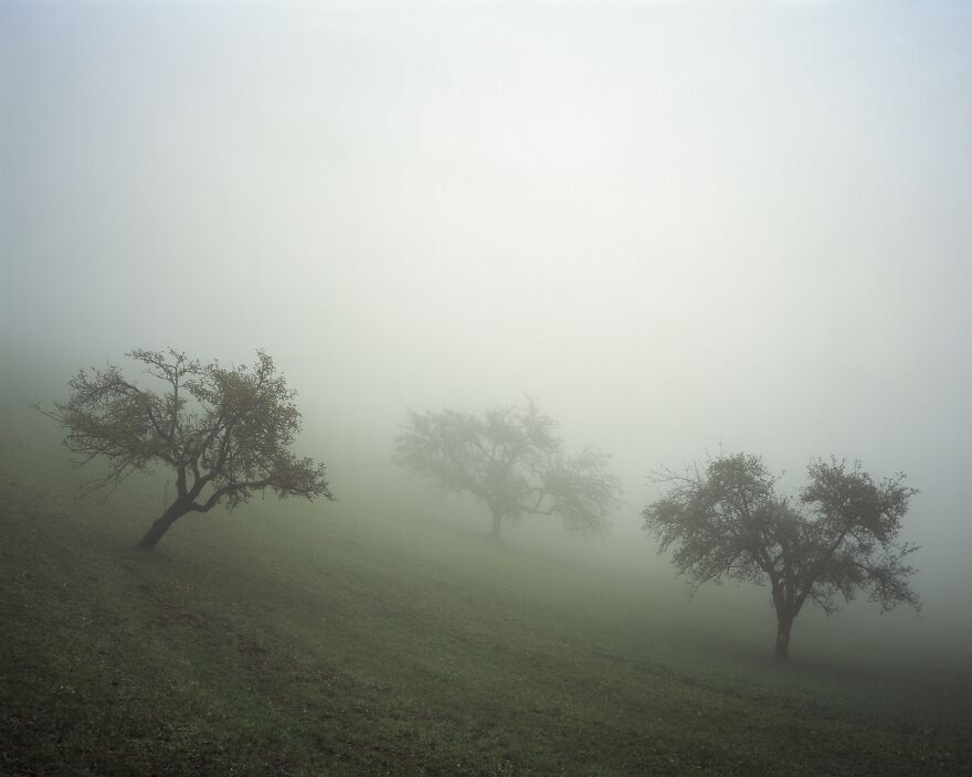 Brouillard (1st Place / Analog / Film / Landscape)