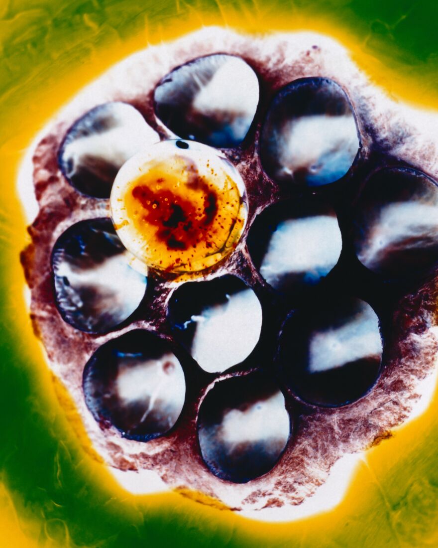 The Age Of Plasticizer (2nd Place / Analog / Film / Other)