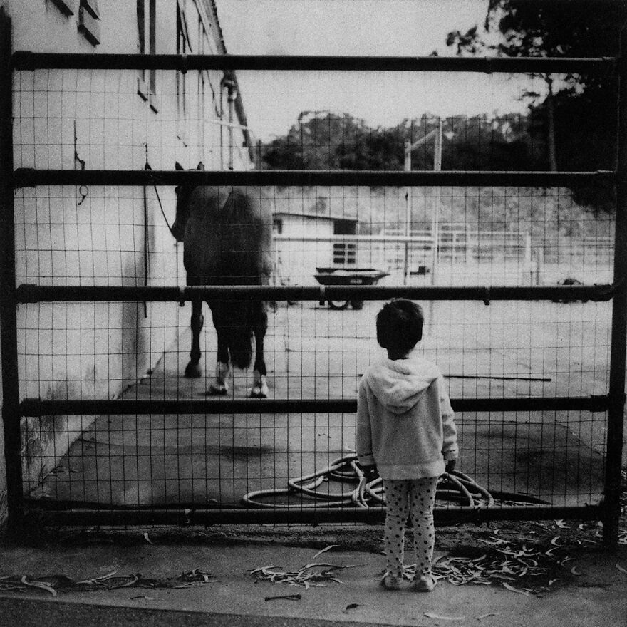 PETRICHOR (1st Place / Analog / Film / Fine Art)