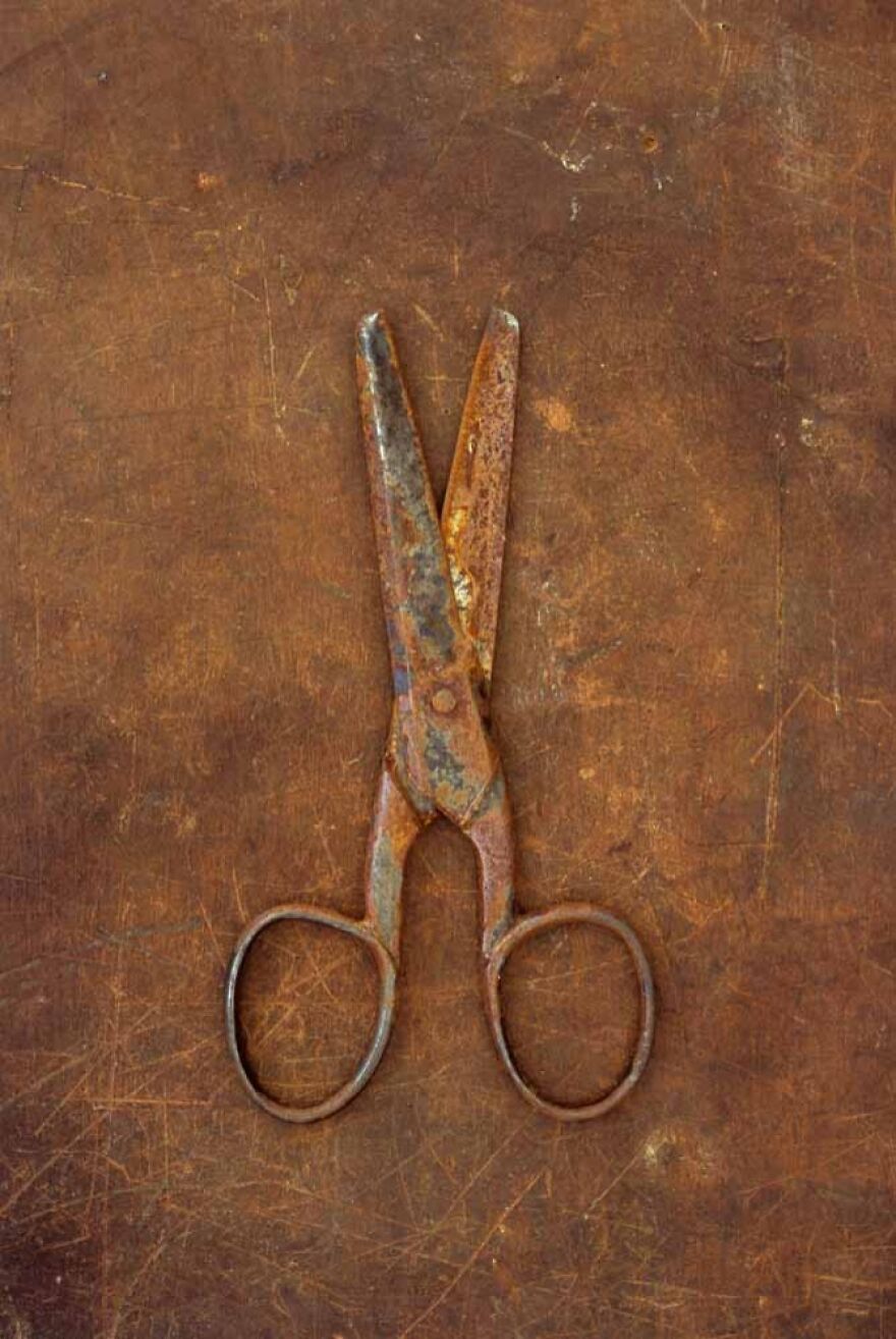 Heavy Metal (2nd Place / Analog / Film / Fine Art)