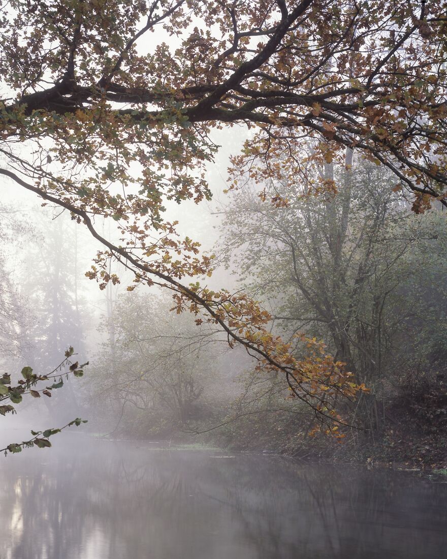 Brouillard (1st Place / Analog / Film / Landscape)