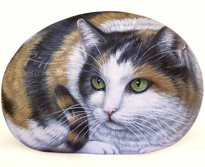 Hand-Painted-Rocks-Stone-Art-Animals-Robertorizzoart