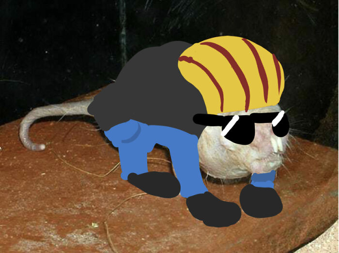 Nothing Can Beat Johnny Rat Mole