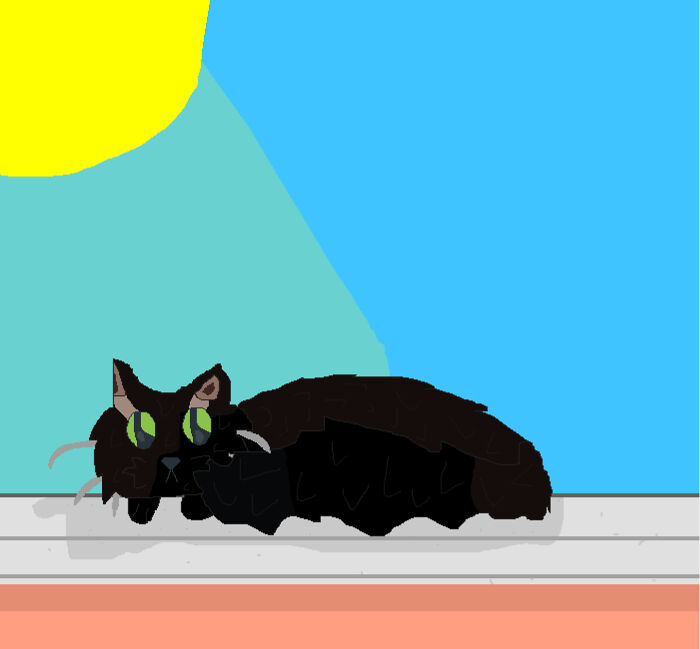 Teddy The Adorable Bean