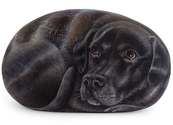 Hand-Painted-Rocks-Stone-Art-Animals-Robertorizzoart