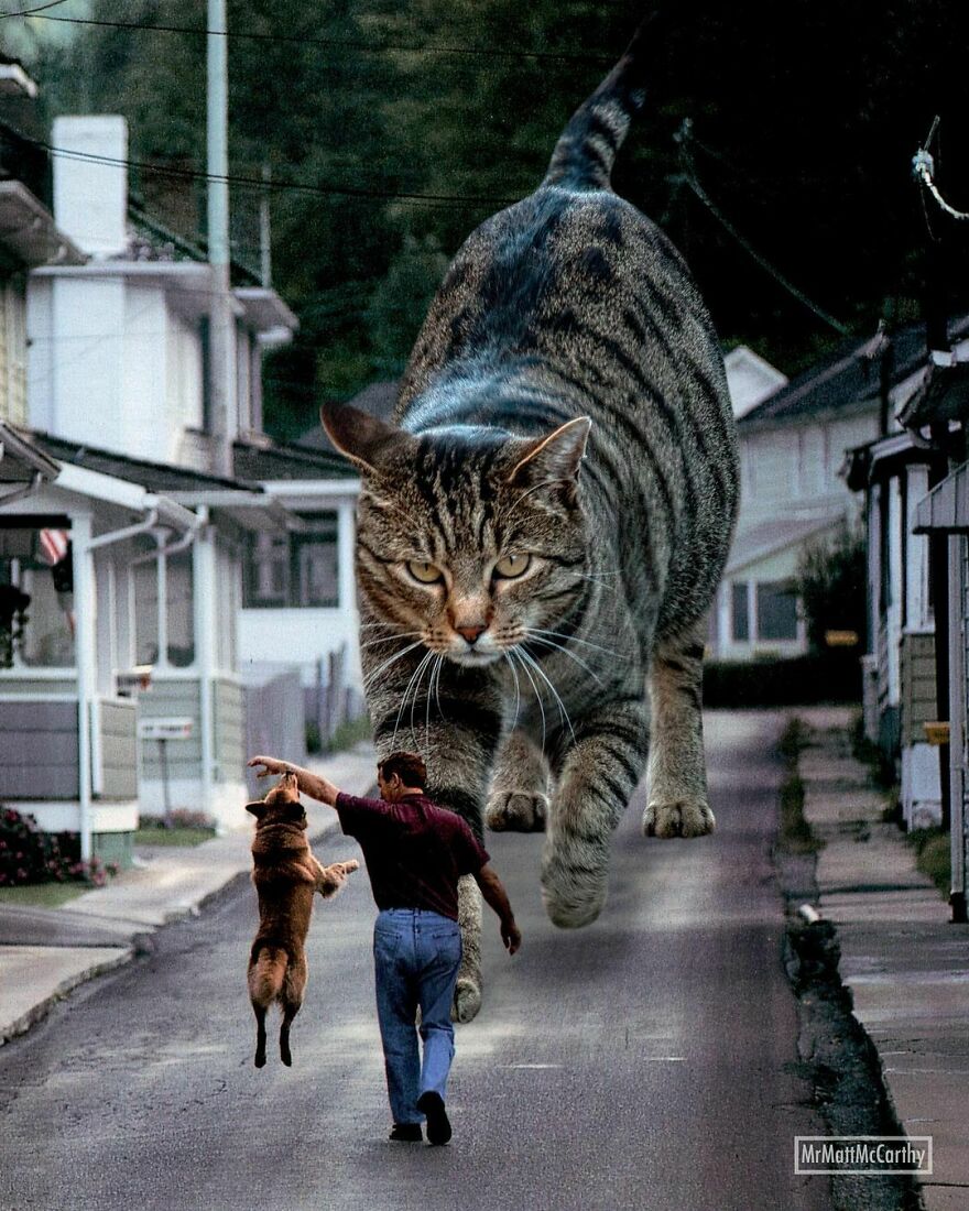 Artist Imagines The World With Giant Cats, And The Result Is Purrrfect
