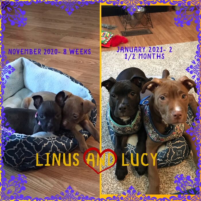 They Aren’t Very Old But They Grow So Fast