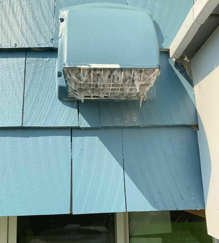 Let’s Make A Sweater!