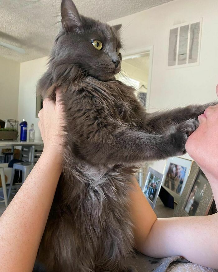 I Said No Kisses Mom