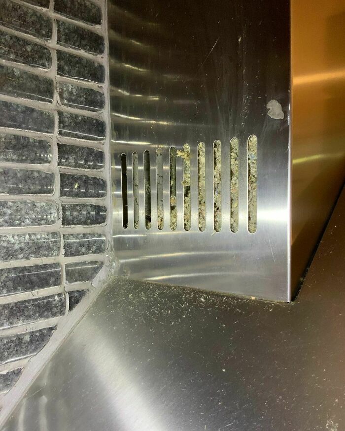 Wonder Who’s Living In The Range Hood?