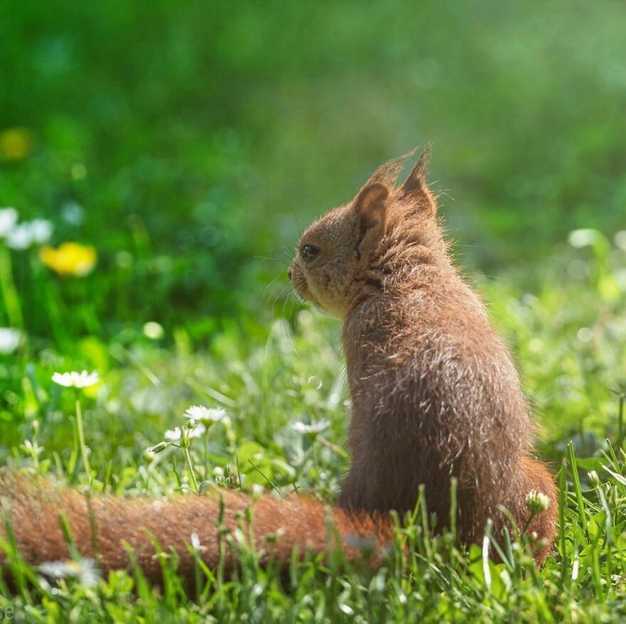 I Used To Be Confused But Now I Just Don’t Know