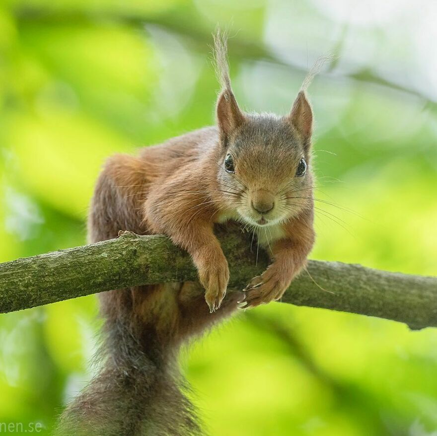 No, You Come Up Here