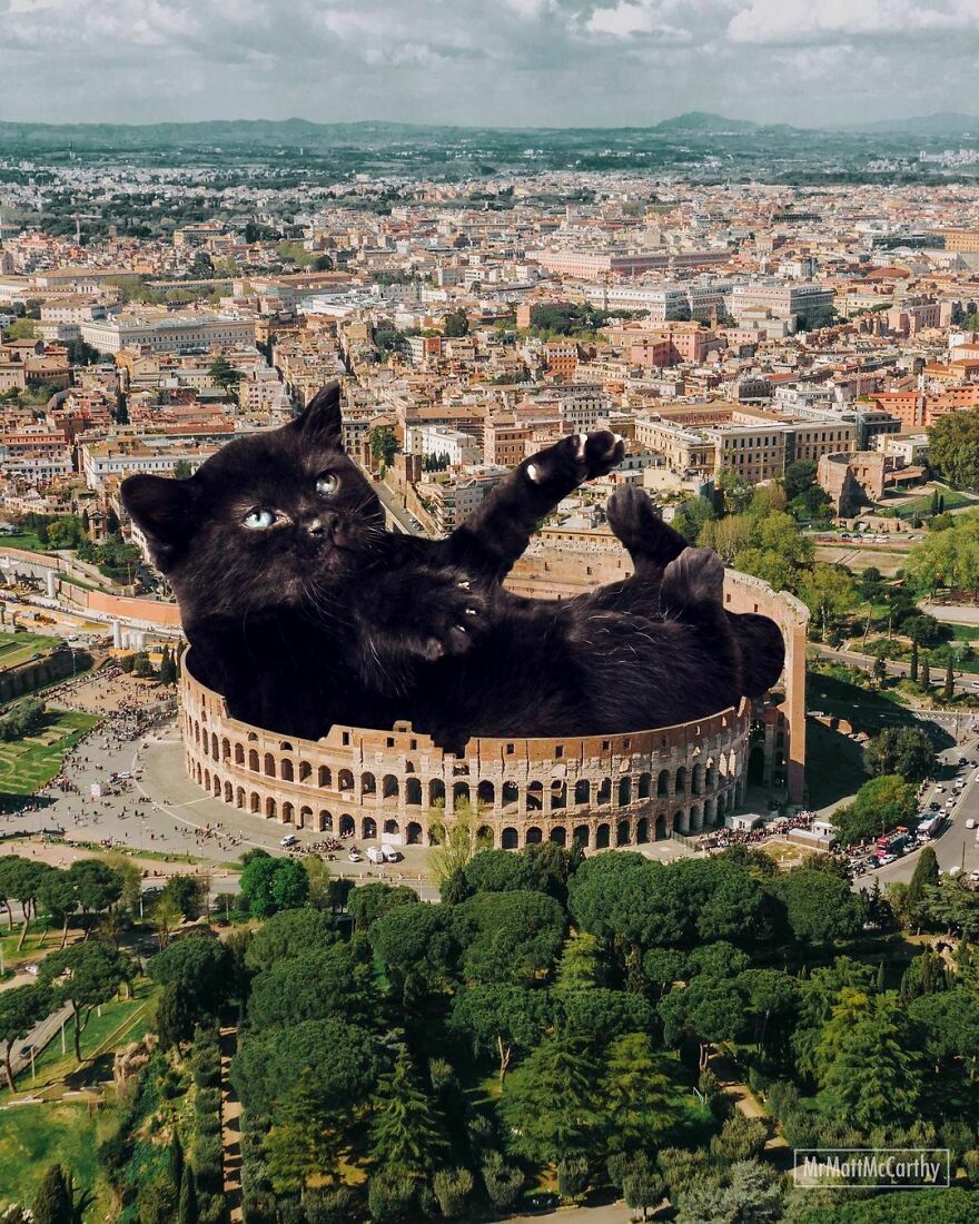 Artist Imagines The World With Giant Cats, And The Result Is Purrrfect