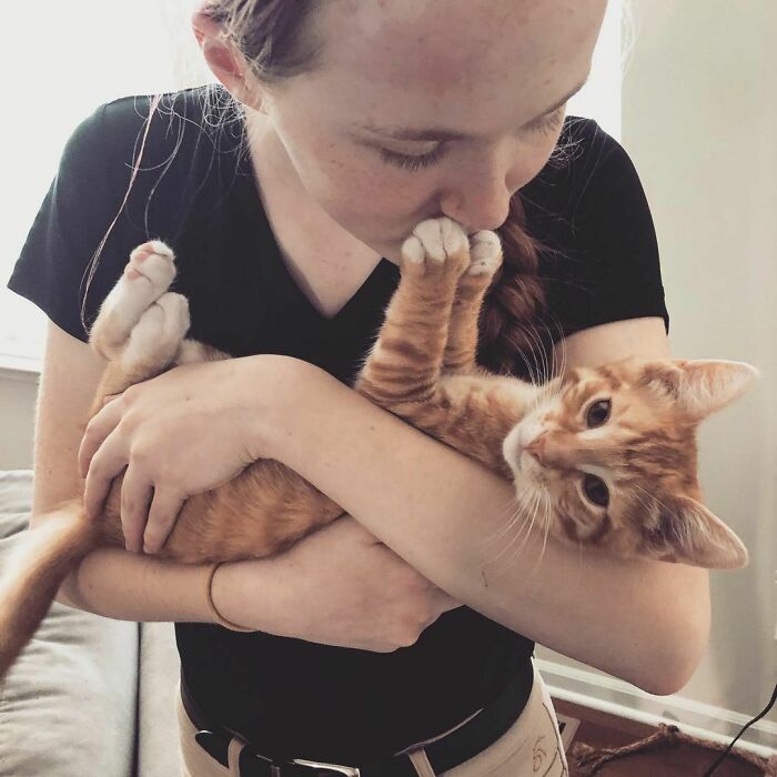 No, Do Not Want Kisses