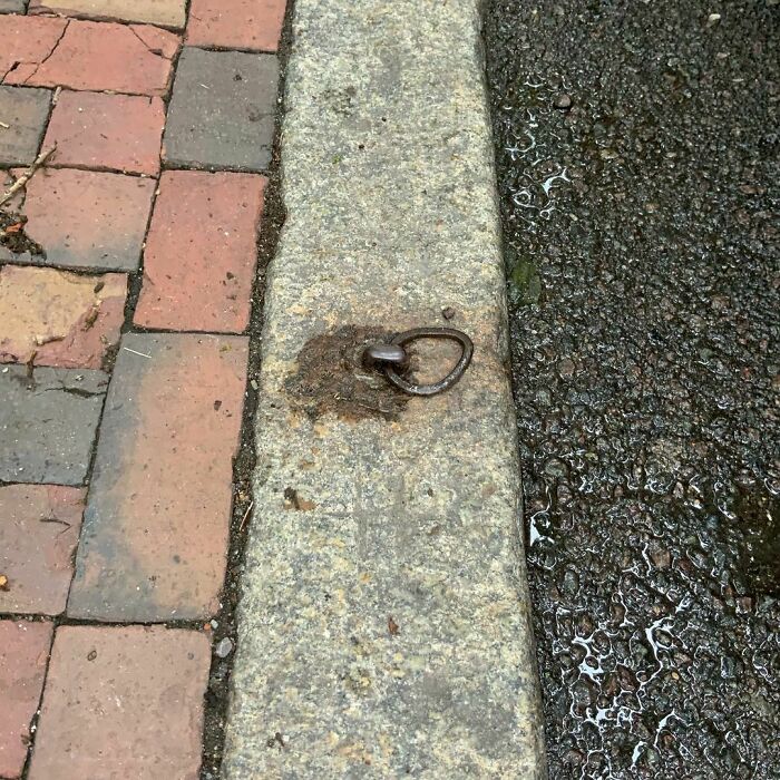 Can You Guess What This Is?