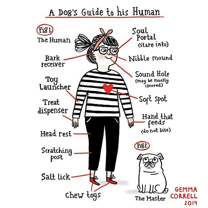 Depression-Anxiety-Comics-Illustrations-Gemma-Correll