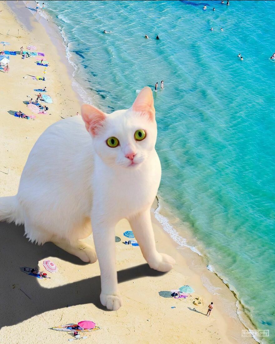 Artist Imagines The World With Giant Cats, And The Result Is Purrrfect