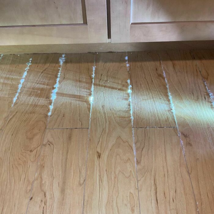 Day 3 Of 7! Mold Week