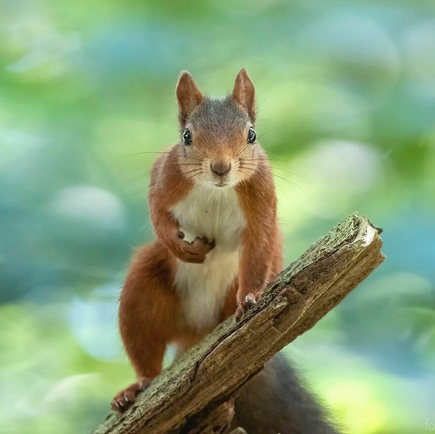 Can’t Believe His Eyes