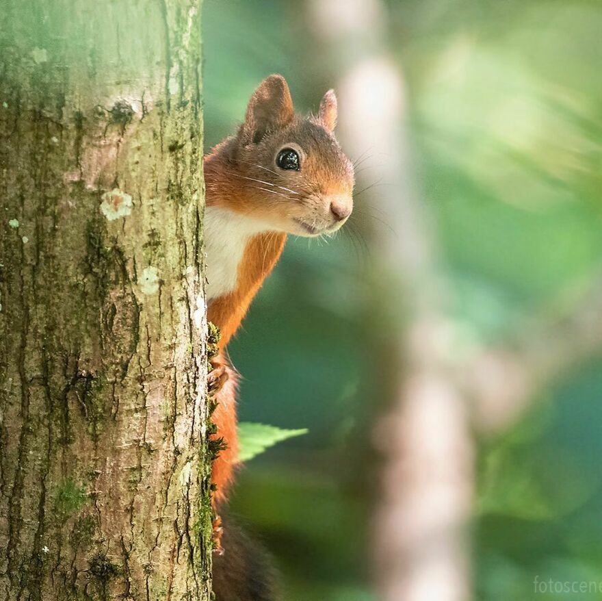 Hello, Is It Me You're Looking For?