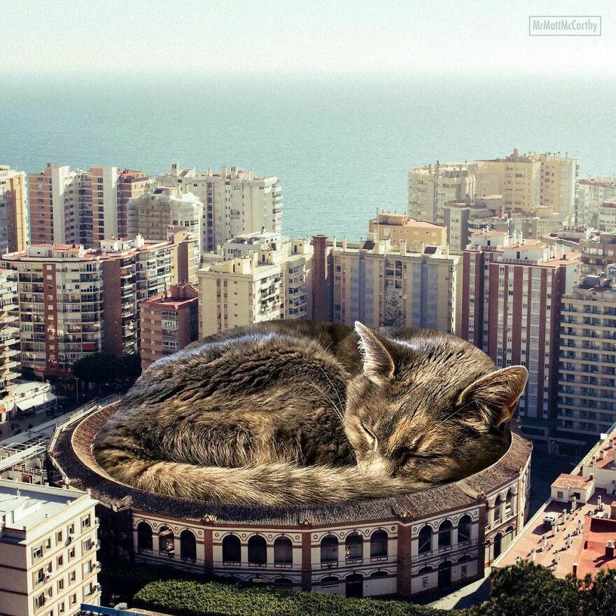 Artist Imagines The World With Giant Cats, And The Result Is Purrrfect