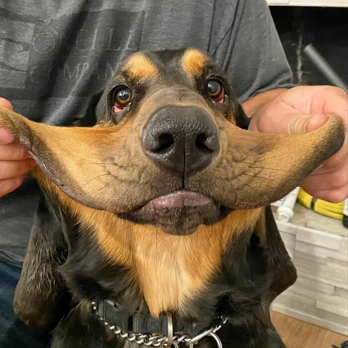 Humans Are So Strange