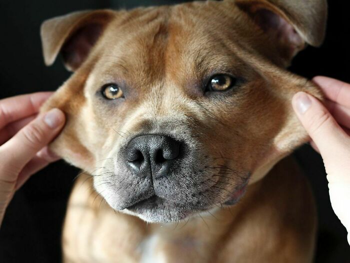 My Face Is So Stretchy, I Can Go Wind Gliding With No Equipment