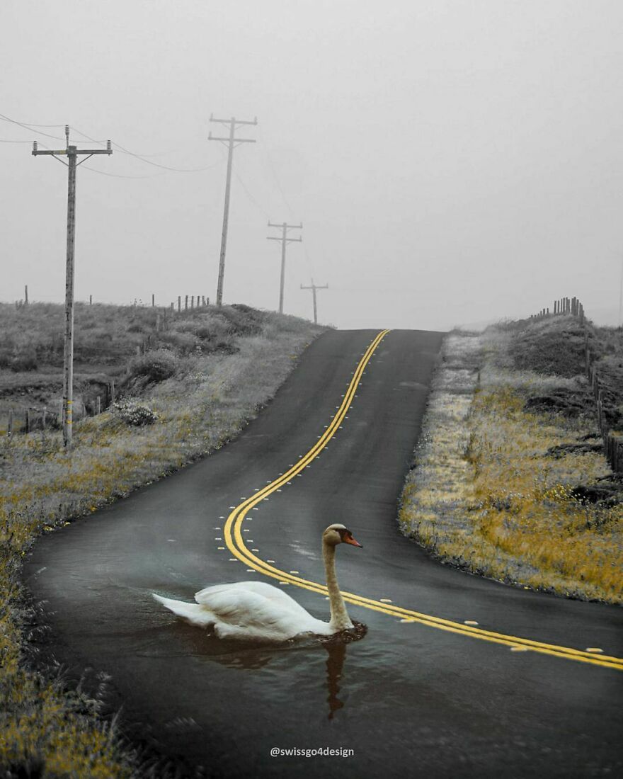 Either I'll Find A Way Or I'll Make One.
.
on My Website Swiss.go4design.ch (Link In My Bio) You Can See A Before/After Gif Of This Edit.
.
.
op @unsplash @mischievous_penguins @chrishenry
.
.
#surrealismworld #surrealart #surrealcollage #trippyart #trippyedits #beforv #humalien #taxcollection #graphicroozane #theuniversalart #thecreart #xceptionaledits #launchdsigns #enter_imaginations #entersurrealism #edit_creatives #enterimagination #learnphotoshop #9gag #dailyart #manipulationteam #diggin_art #discoveredit #digitalcontentors #editvisual #streetart