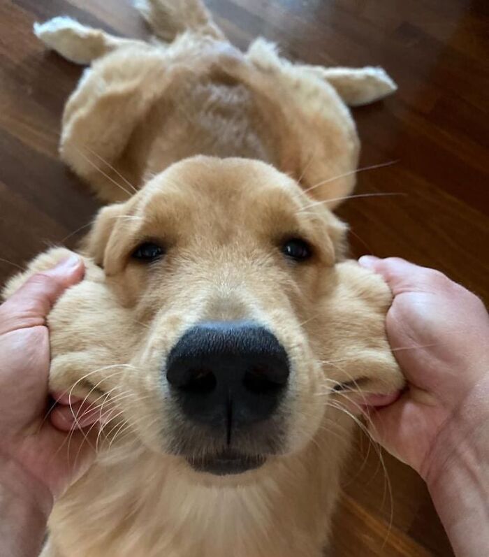 When Your Cheeks Seem To Be A New Version Of Slime