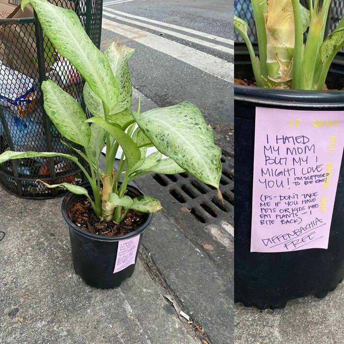 Love This. 14th St And 4th Ave In Gowanus/South Slope