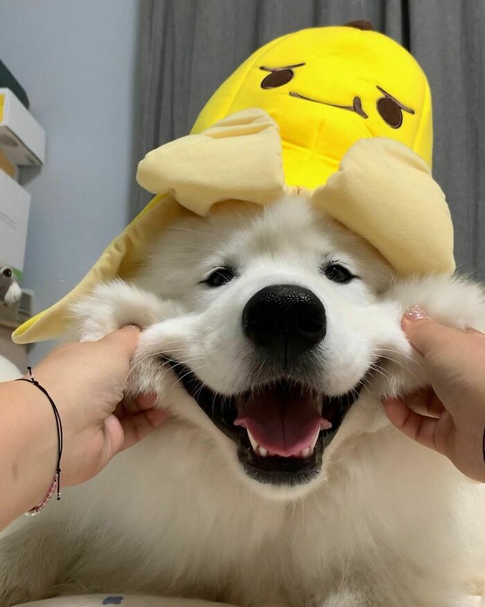 The Cutest Smile I've Ever Seen